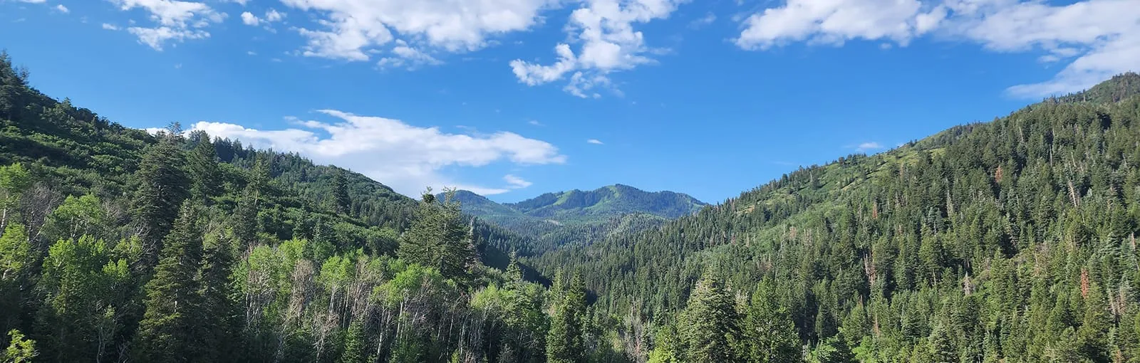 Mountainous landscape with dense green forests under a blue sky with clouds.