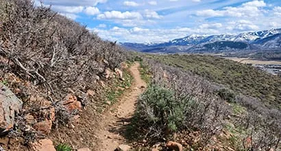 A narrow dirt hiking trail on a hillside with sparse vegetation and snow-capped mountains in the background.