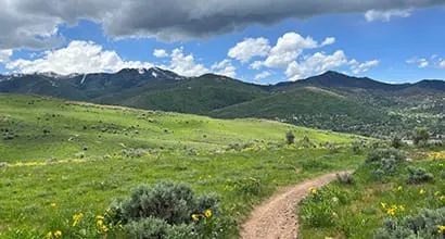 A scenic landscape with a dirt path, green hills, and mountains under a cloudy sky.