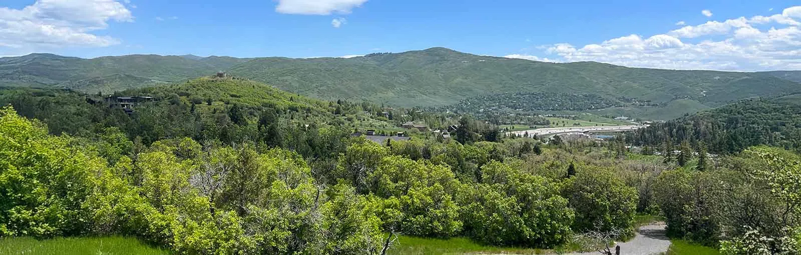 Panoramic view of green hills and trees under a blue sky with clouds.