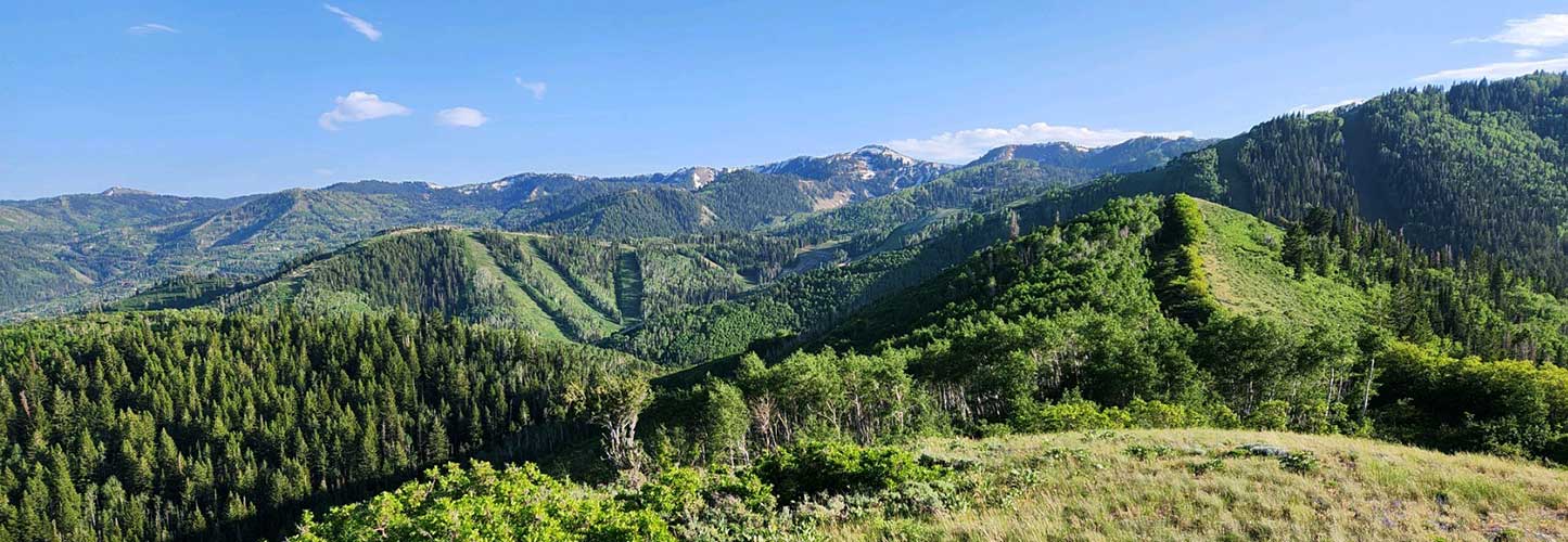 Panoramic view of green forested mountains under a blue sky with clouds.