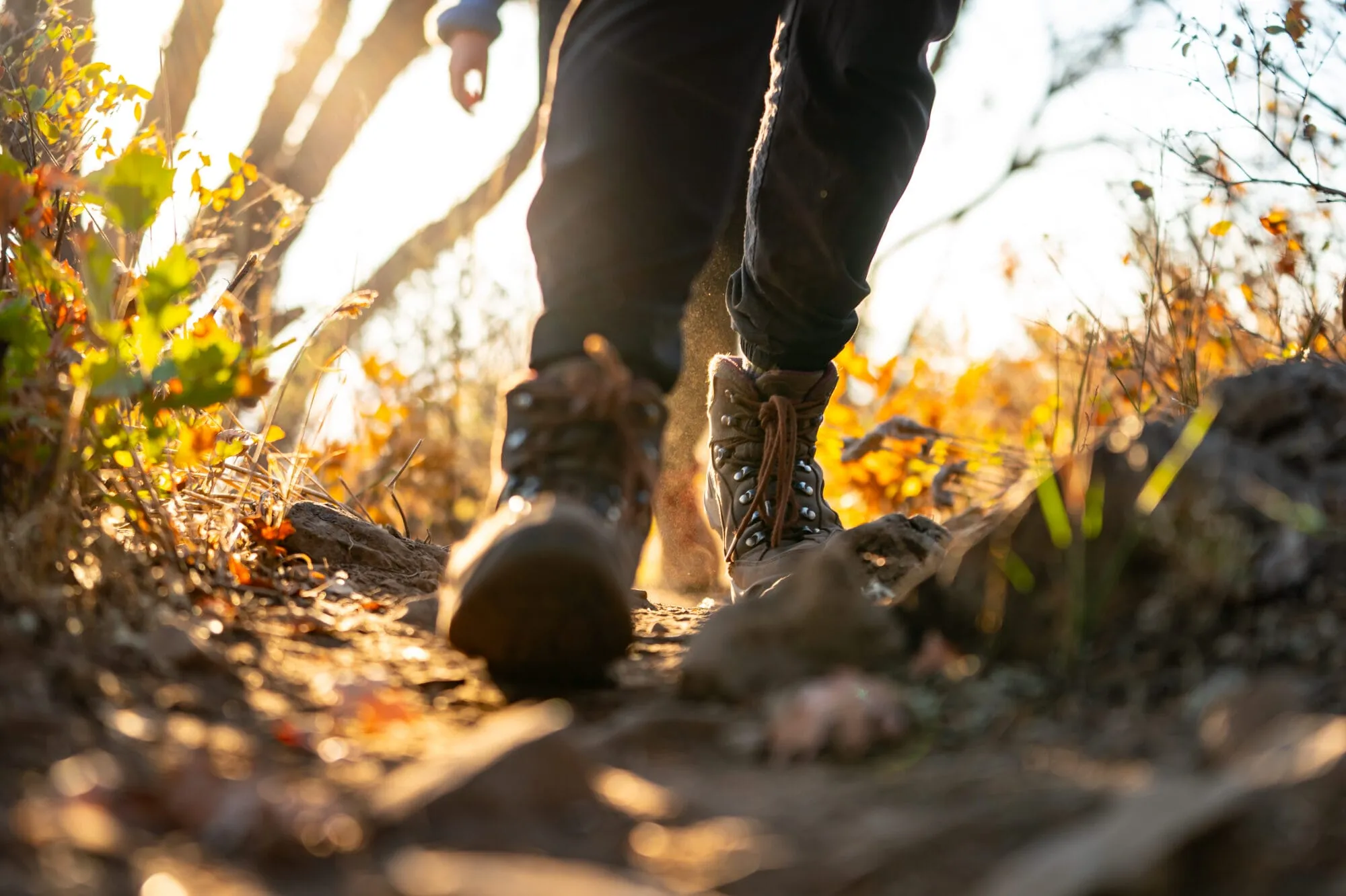 Hiker's boots walking on a single track trail at RTS