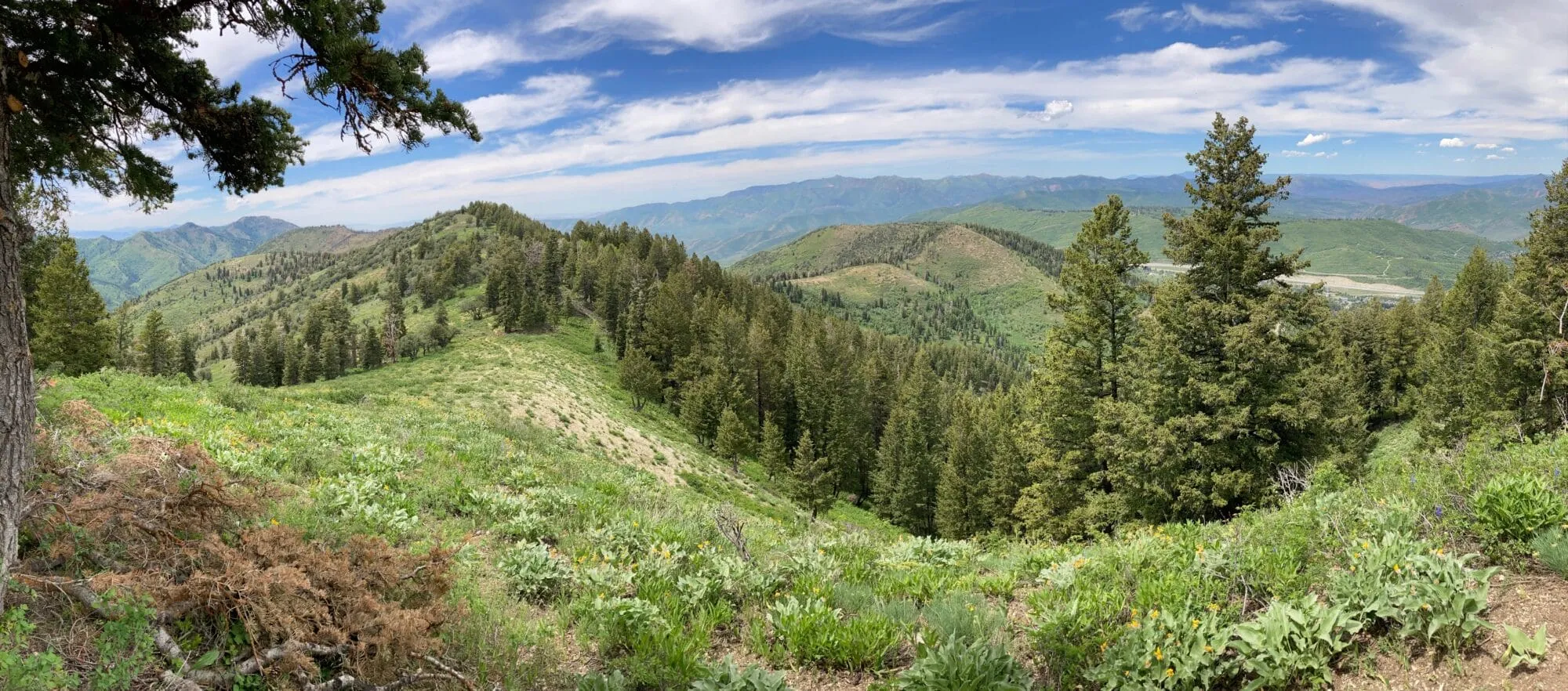 Ridgeline Pano