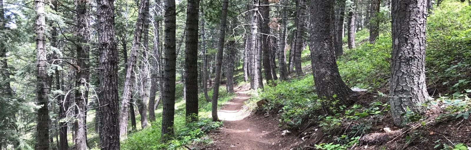 Summit Park trail system website header