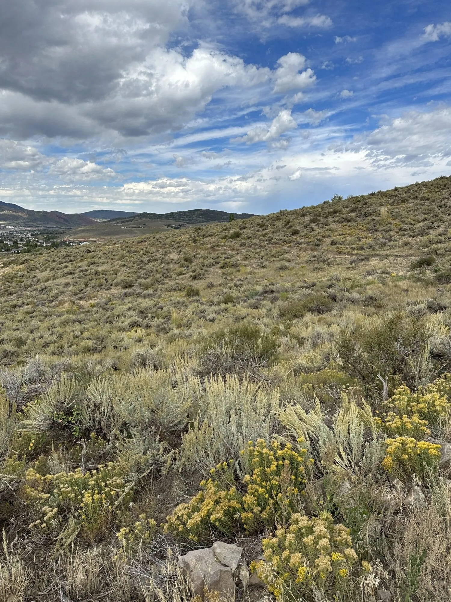 Trailside East Open Space