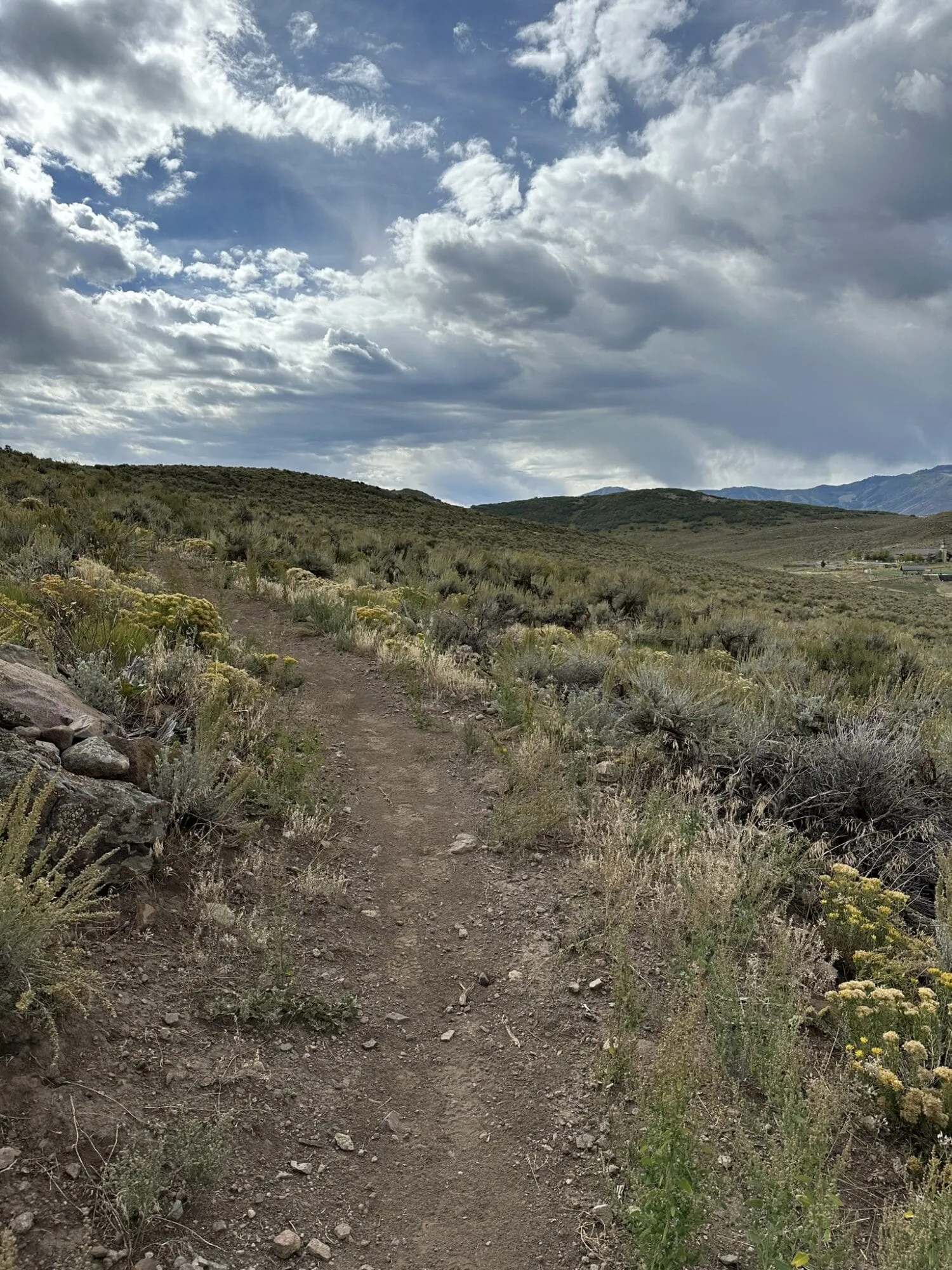 Trailside East Trail