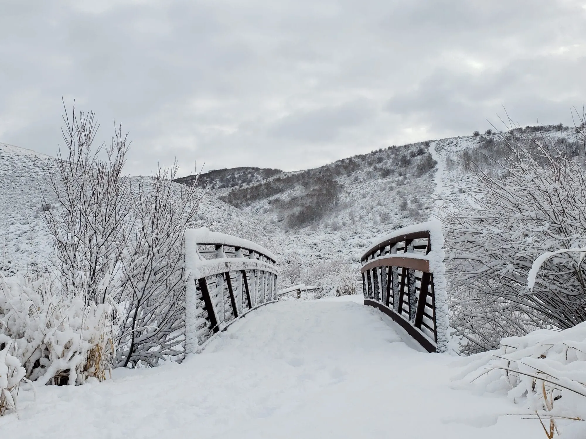 Winter Bridge