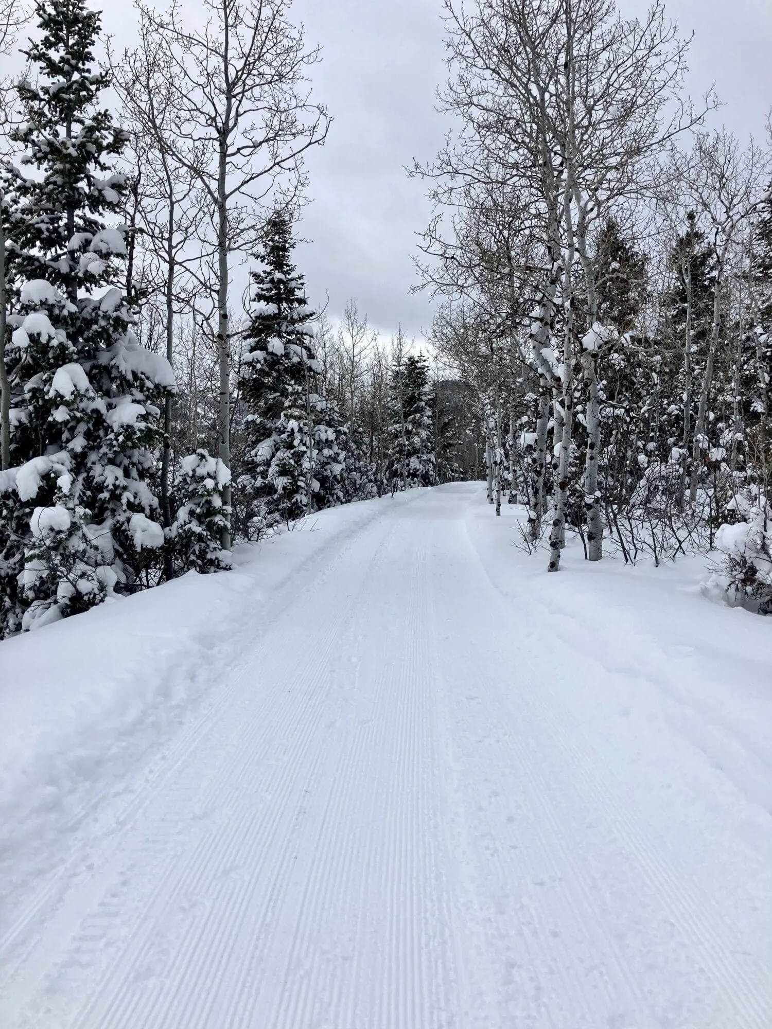 A freshly groomed winter trail through pines and aspen at the park, The Woods.