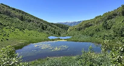 Scenic view of a pond surrounded by green hills and distant snow-capped mountains under a blue sky.