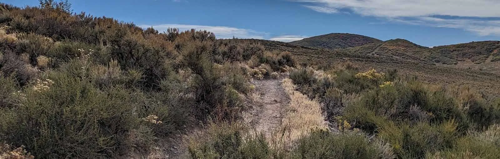 A narrow dirt path through a scrubby landscape with hills in the background under a partly cloudy sky.