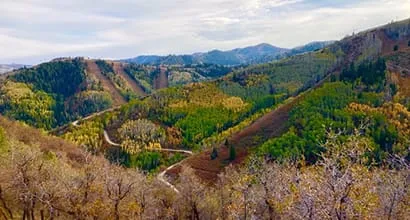 Autumn landscape with colorful foliage and a winding road through hilly forests.