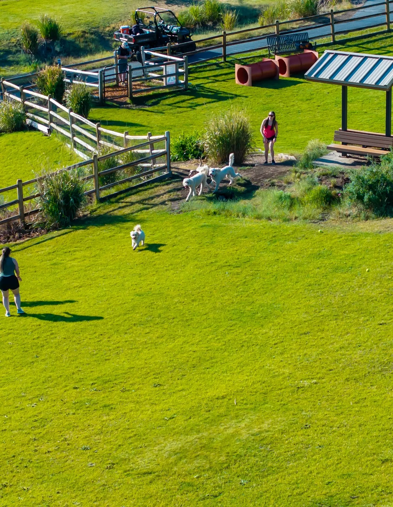 DJI 20240716043910 0150 D trailside dog park image carousel