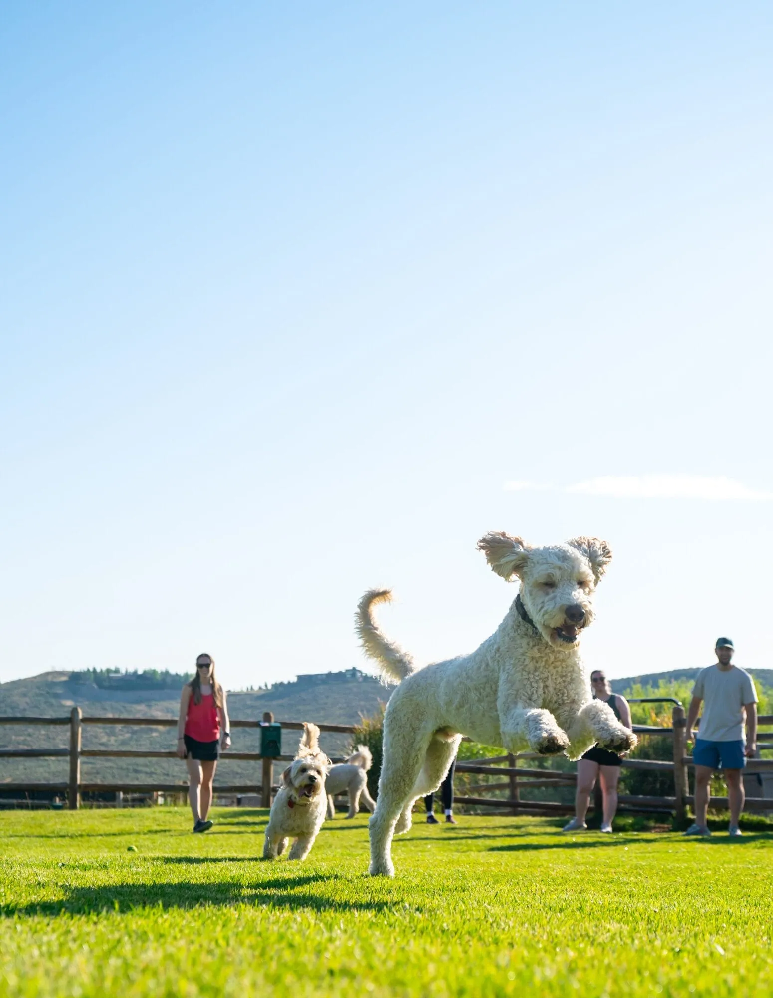  RCD1830 trailside dog park image carousel