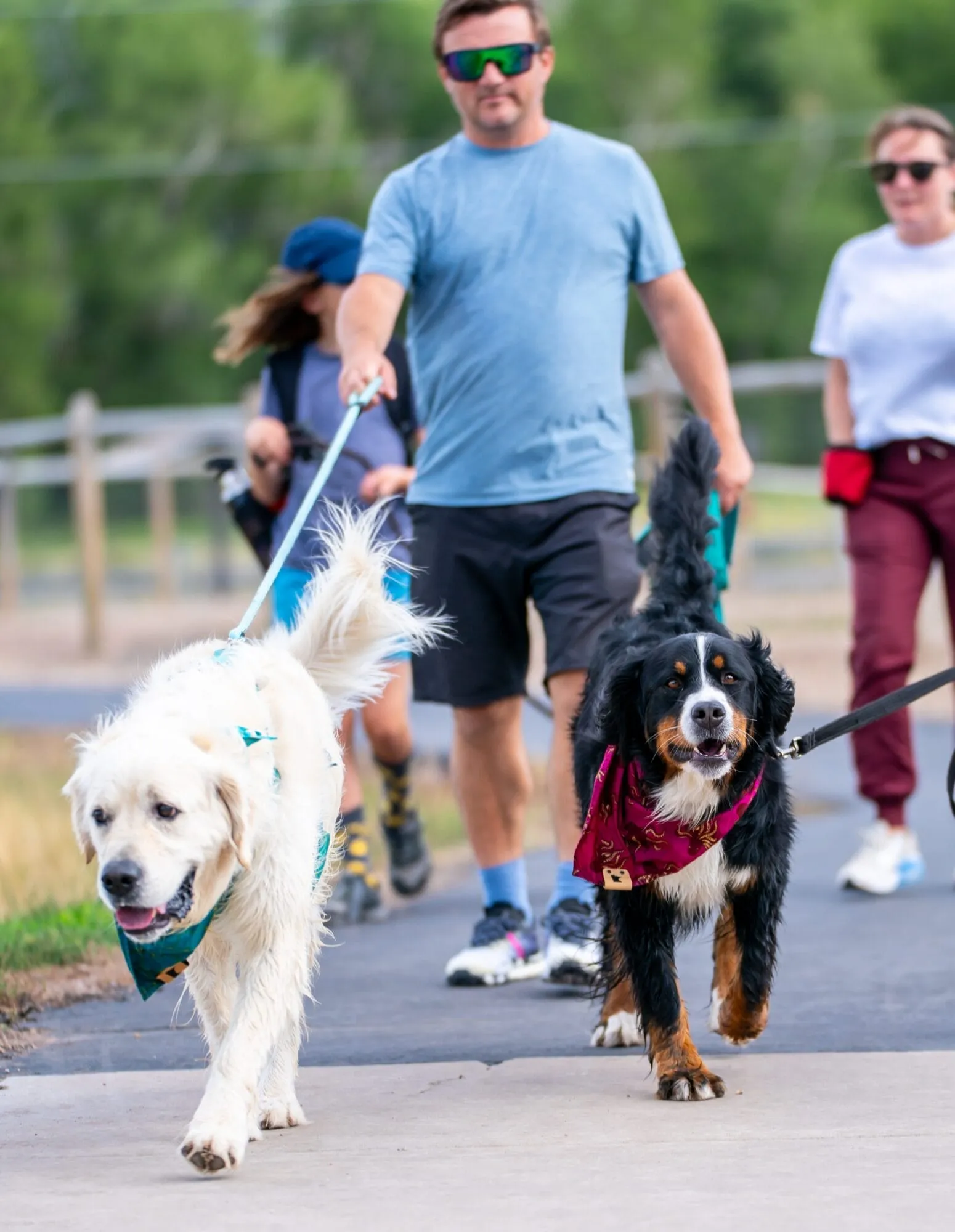  RCD7264 willow creek trail paved dog on leash